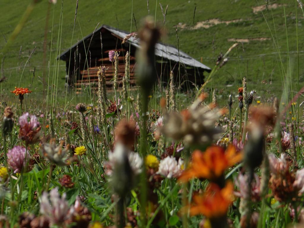 Hotel Silvretta Serfaus Extérieur photo